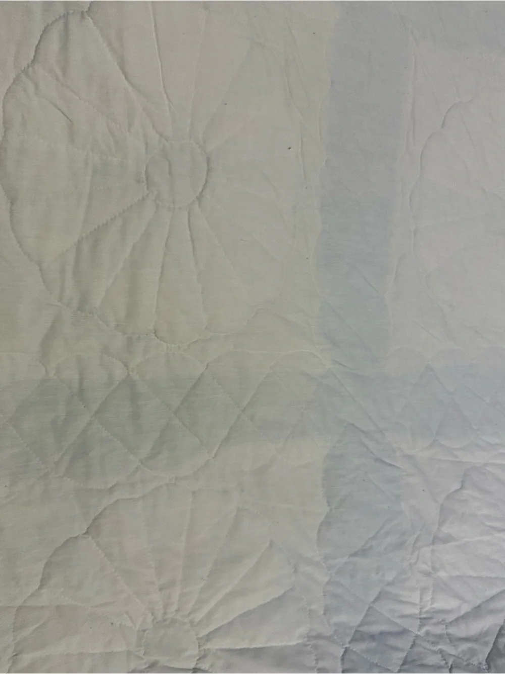 Vintage handmade Blue and White Dresden Plate Quilt